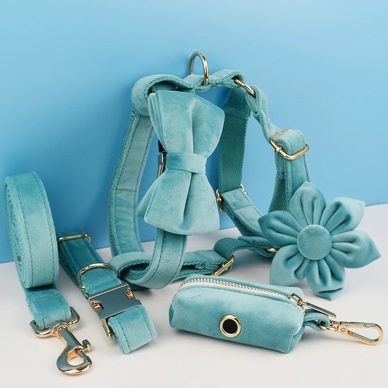 Kit Coleira de luxo para Cães