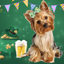 Kit de Laços para o Pets com 10/20/30 pcs